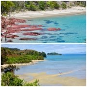 DA9B76AB-C248-46FB-8055-440EB541831D